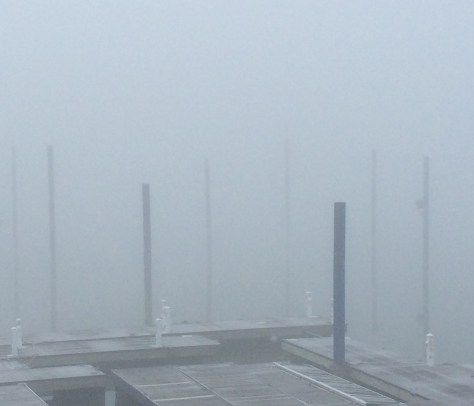 fog-on-the-docks