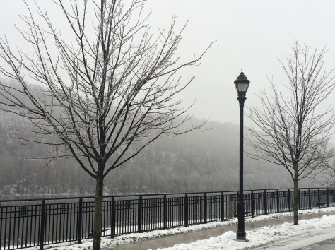 lantern-w-icy-branches-2