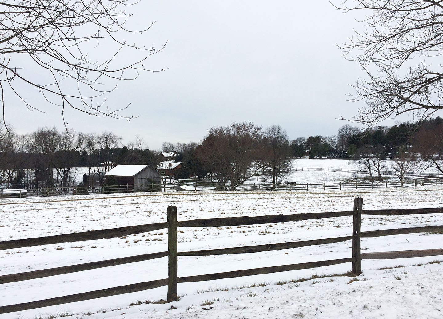 farm-in-winter
