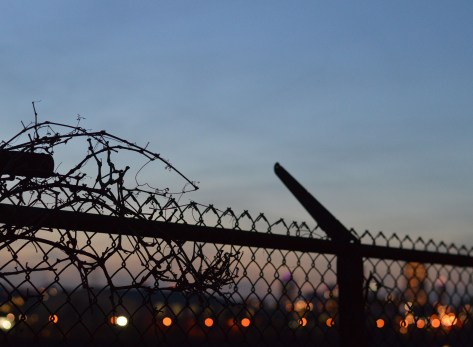 fence-against-city-lights