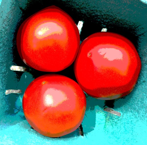 tomatoes posterized