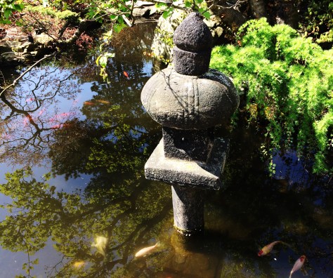 japonese pond