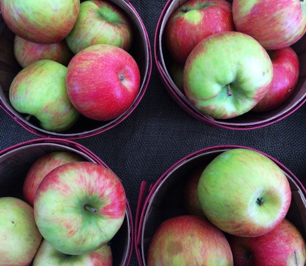 apples at the market