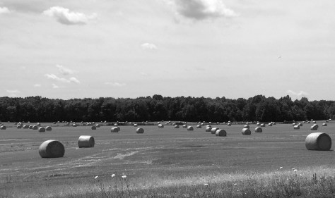 rolls of hay in Ohio blwh