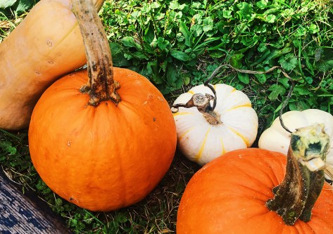 Processed with VSCO with g3 preset