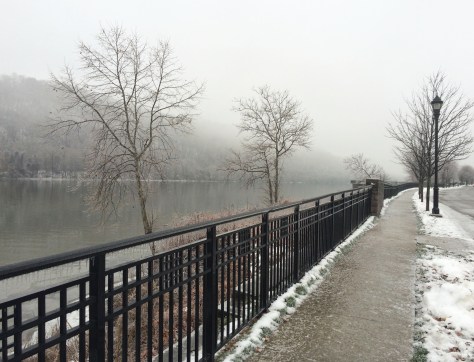 light w icy branches 3