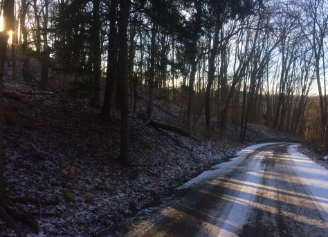 afternoon in the woods w path.jpg