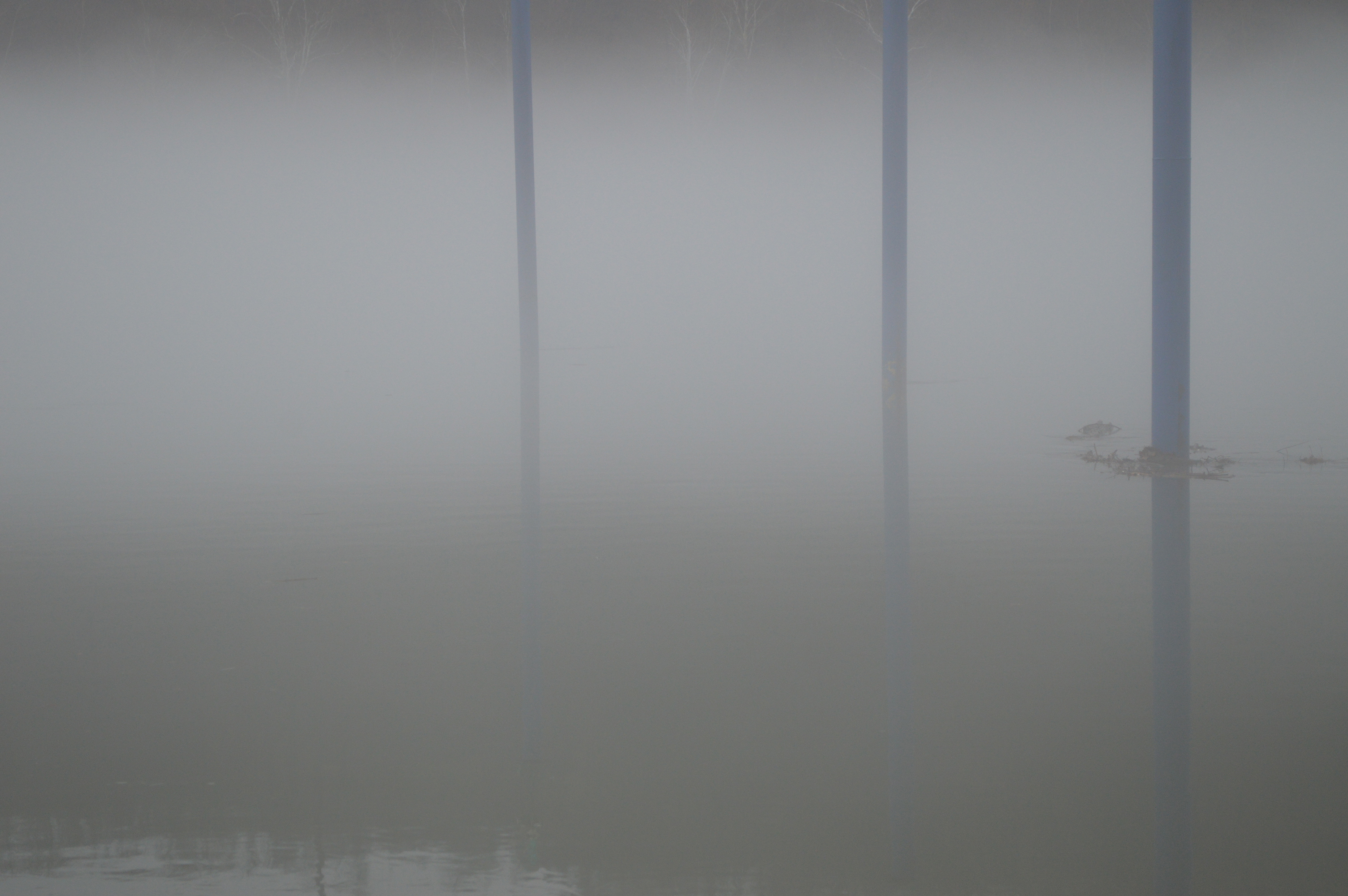 fog on the river w blue poles