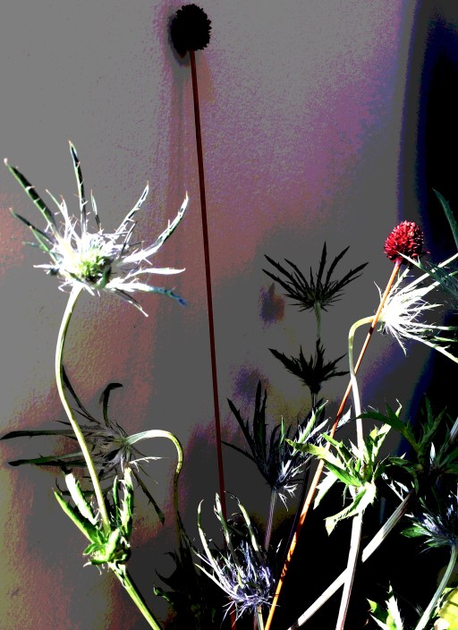 flowers against the wall 2