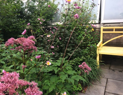 yellow bench and flowers