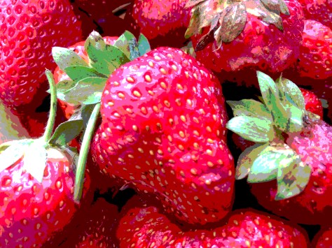 strawberries
