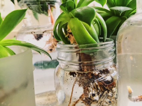 Processed with VSCO with g3 preset