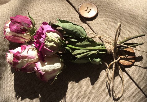 dried roses2