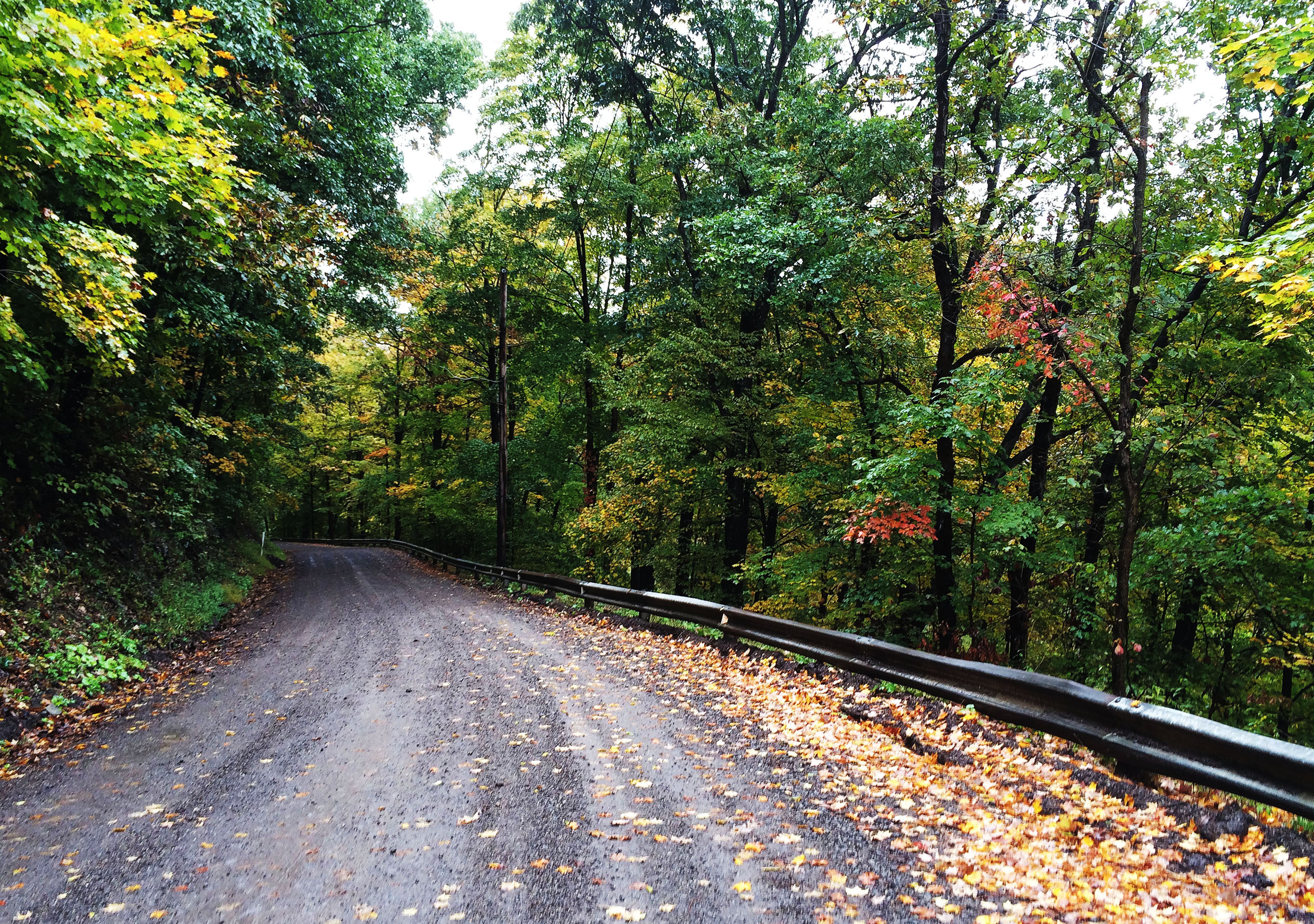 fall country road