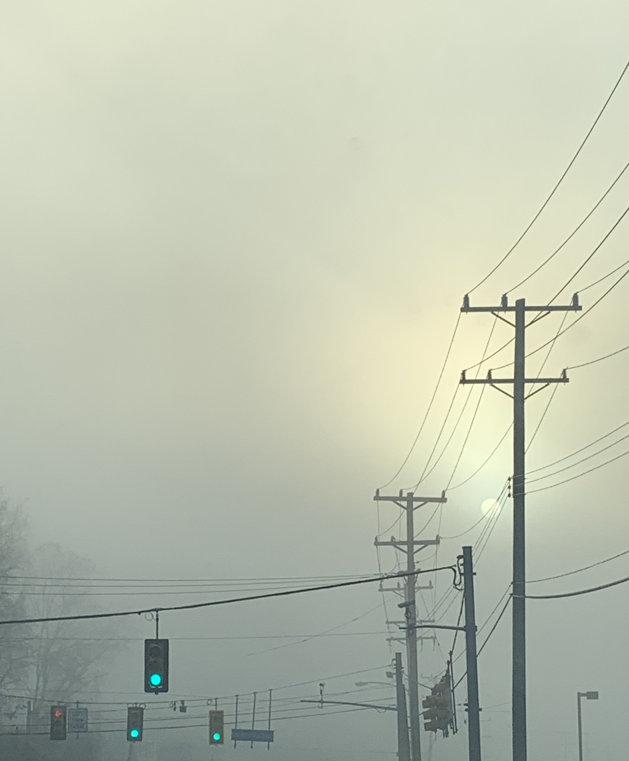 telephone wires in the fog