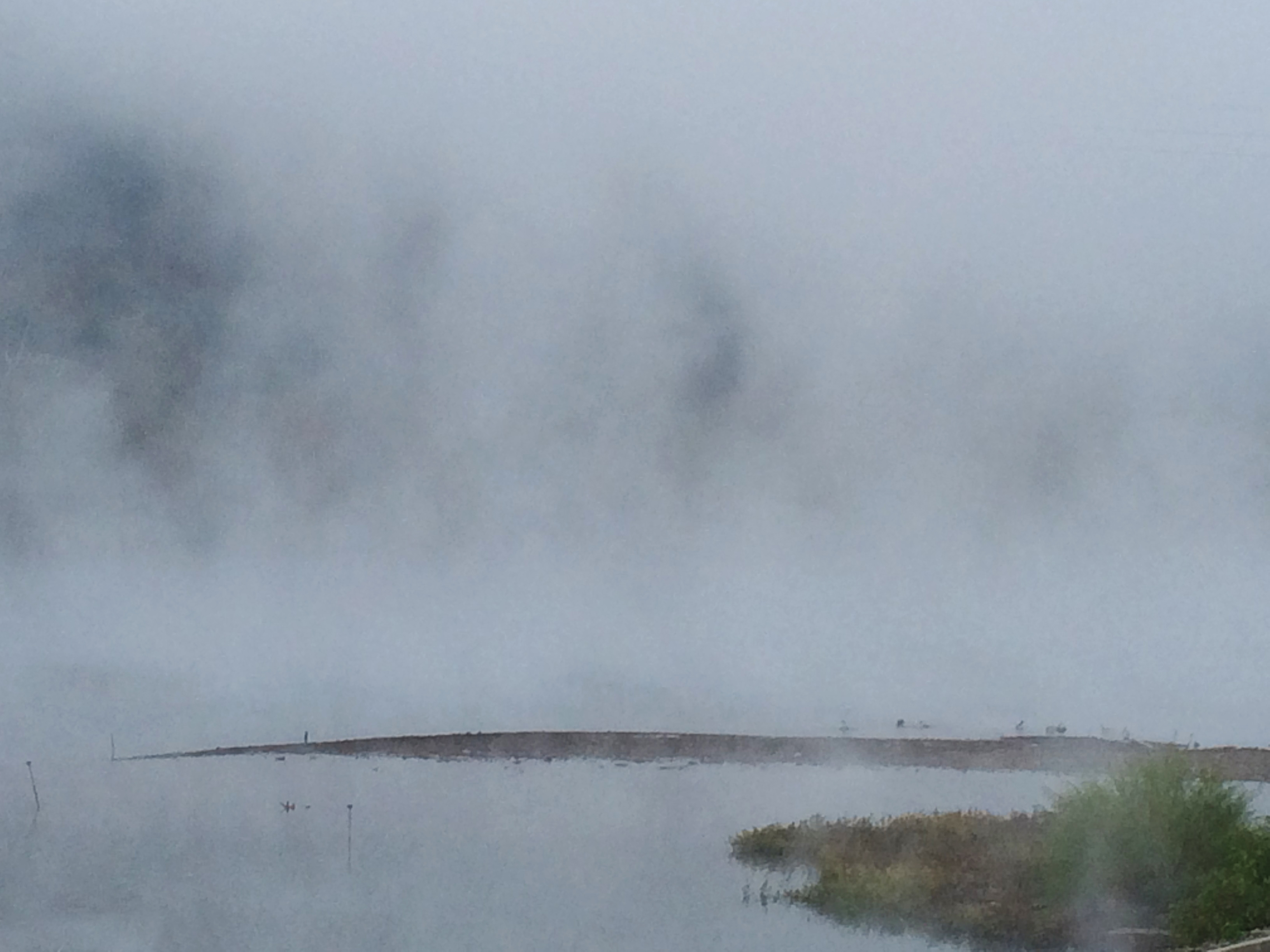 fog on the water